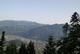 img_0590.jpg