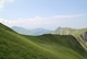 img_0560.jpg