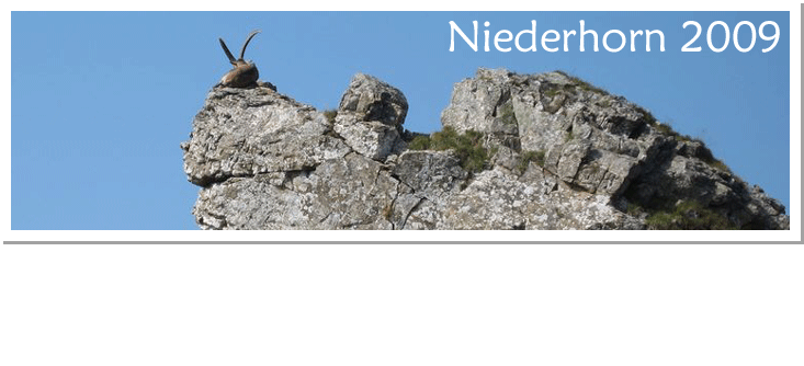 Niederhorn 2009